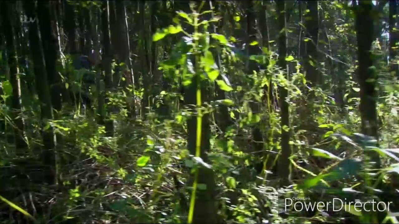 Emmerdale - Cain and Sam Tracks Aaron In The Woods (19th December 2019)