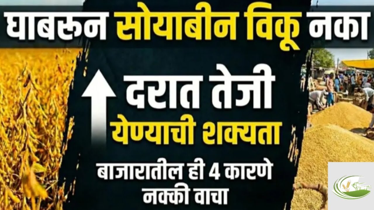 सोयाबीनचे दर पुन्हा वाढणार का?शेतकऱ्यांनी आत्ता काय करावे  Soybean Market Update 2026|#सोयाबीन तुर 