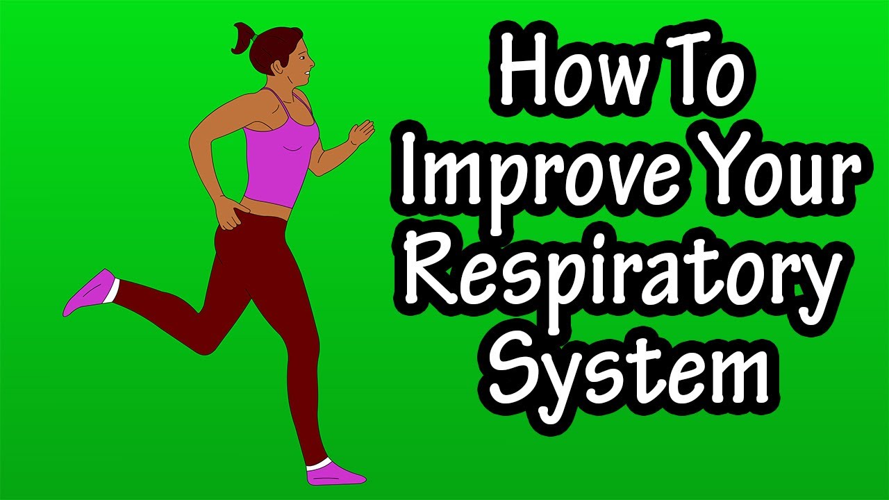 How To Improve Your Respiratory System - Improve The Health And Fitness Of Your Respiratory System