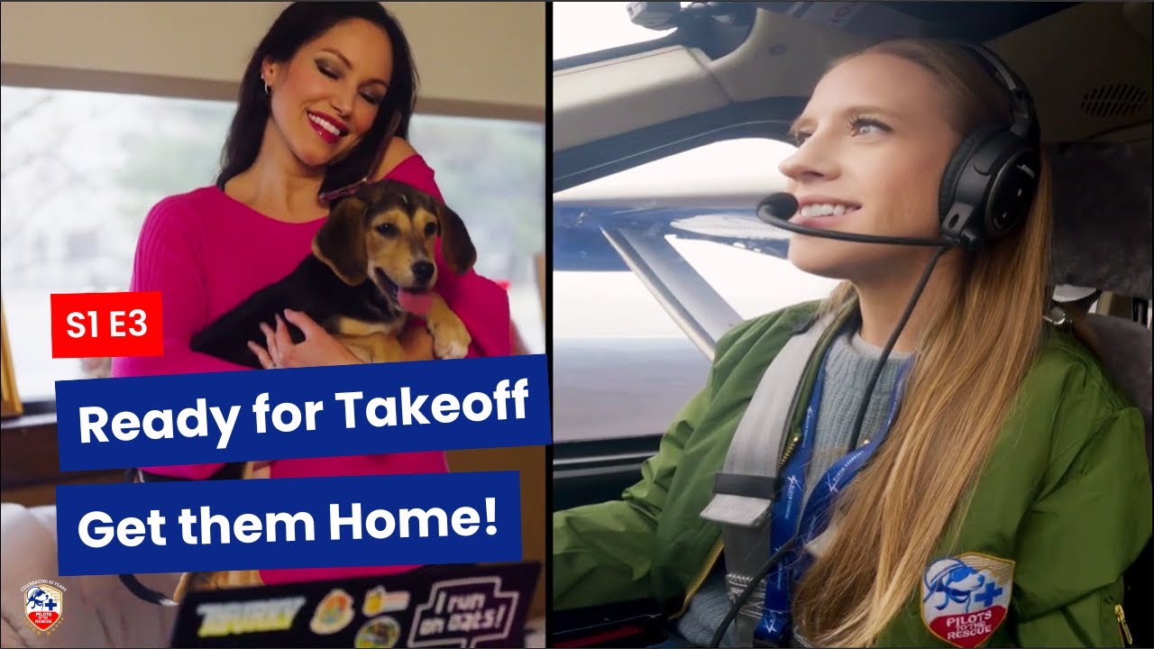 S1 E3 – Final Goodbye: Rescue Pets Take Off to Meet Their New Families #DogRescue