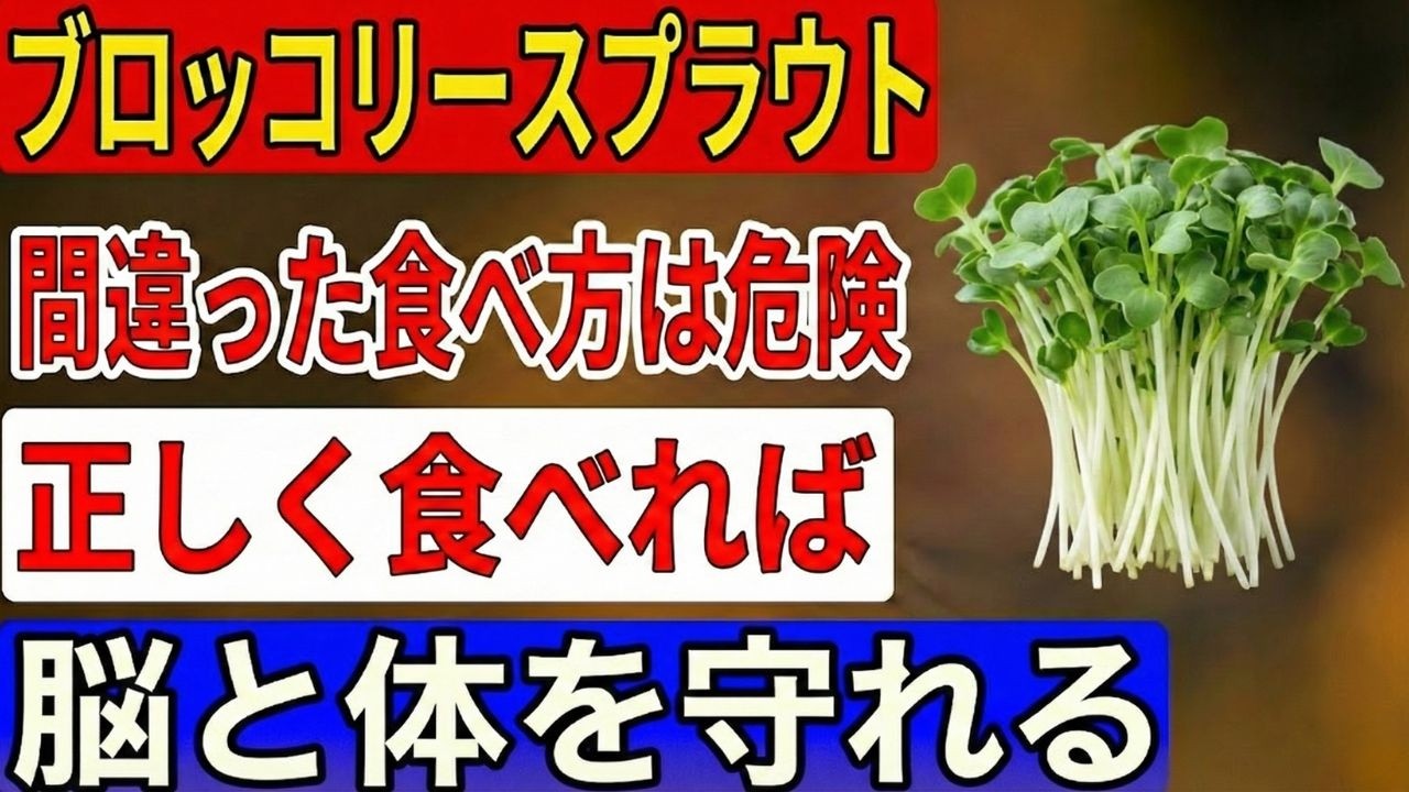 生だけじゃない！高齢者の体を守るブロッコリースプラウトの賢い食べ方