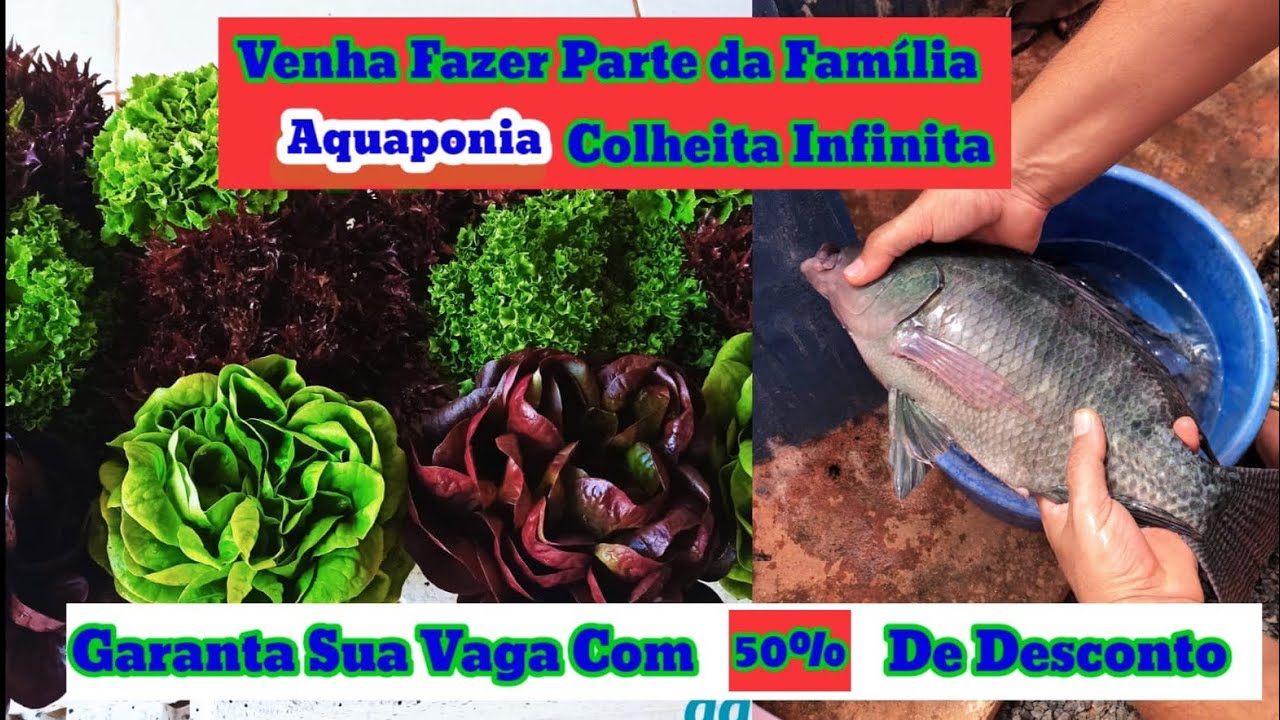 Faltam menos de 9 dias para mudar de vida 