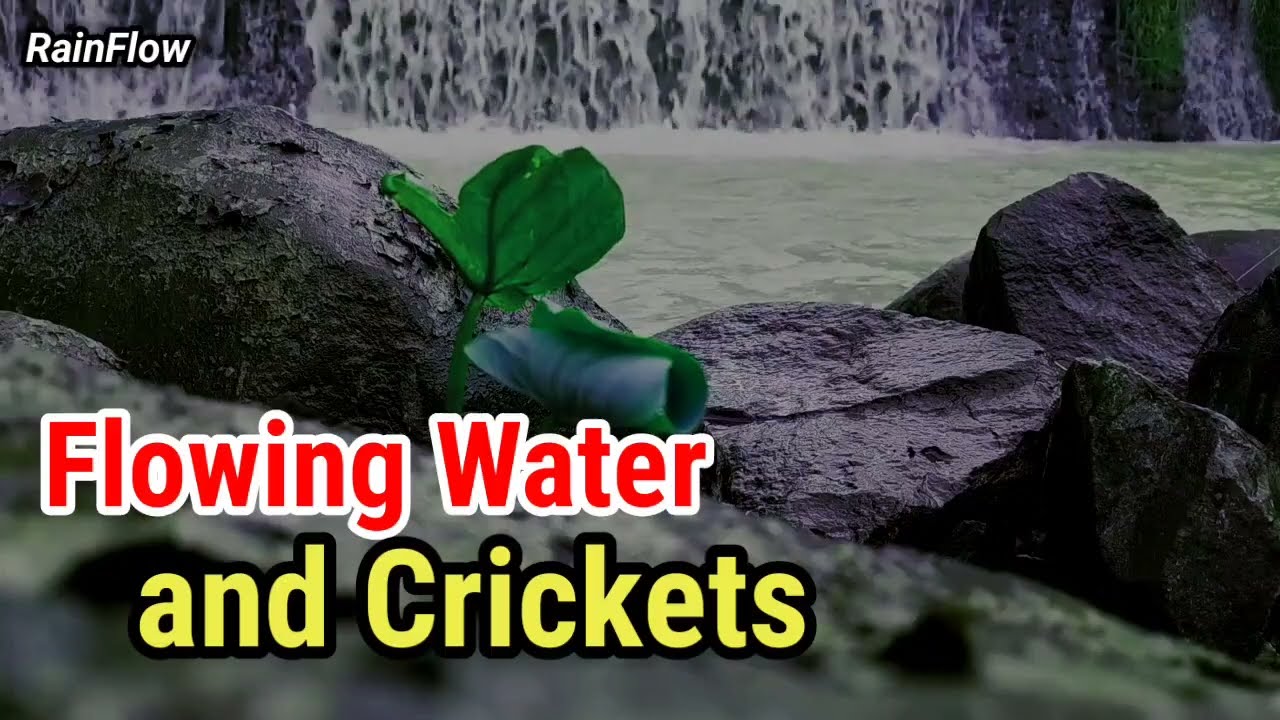 Peaceful Night Nature Sounds with Flowing Water and Crickets for Relaxation