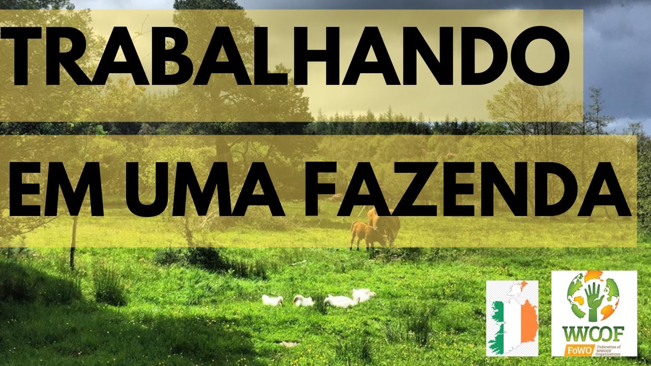 TRABALHANDO EM UMA FAZENDA NA IRLANDA (WWOOF)