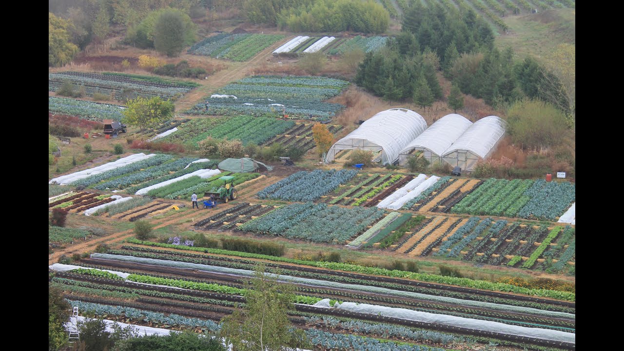 No-Till Vegetable Production - Farminar