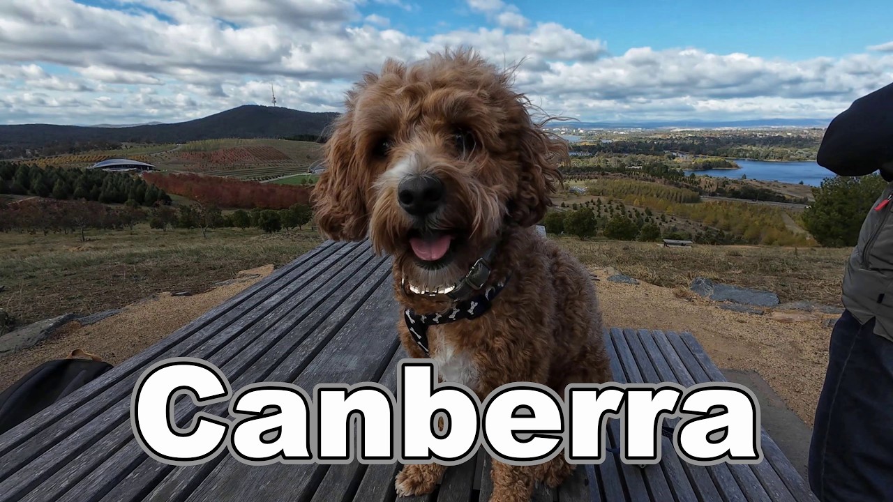 Canberra. Pet Friendly. You'll Be Surprised!
