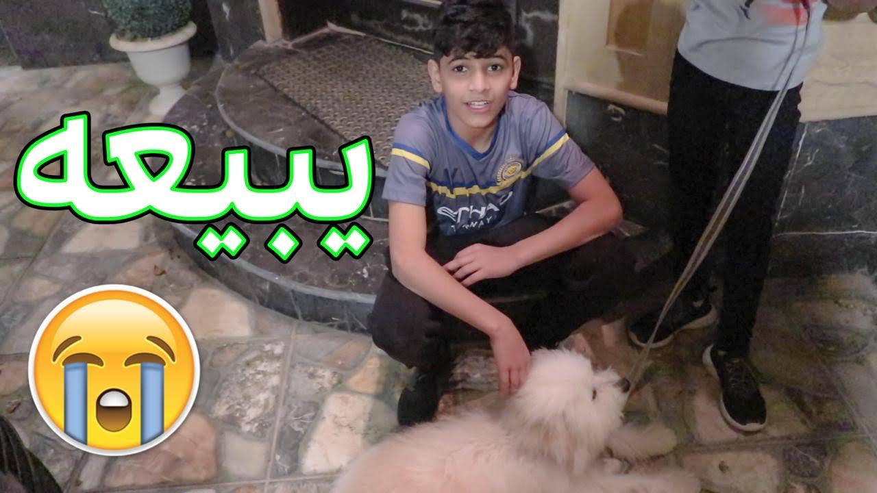 نواف قرر يبيع الكلب