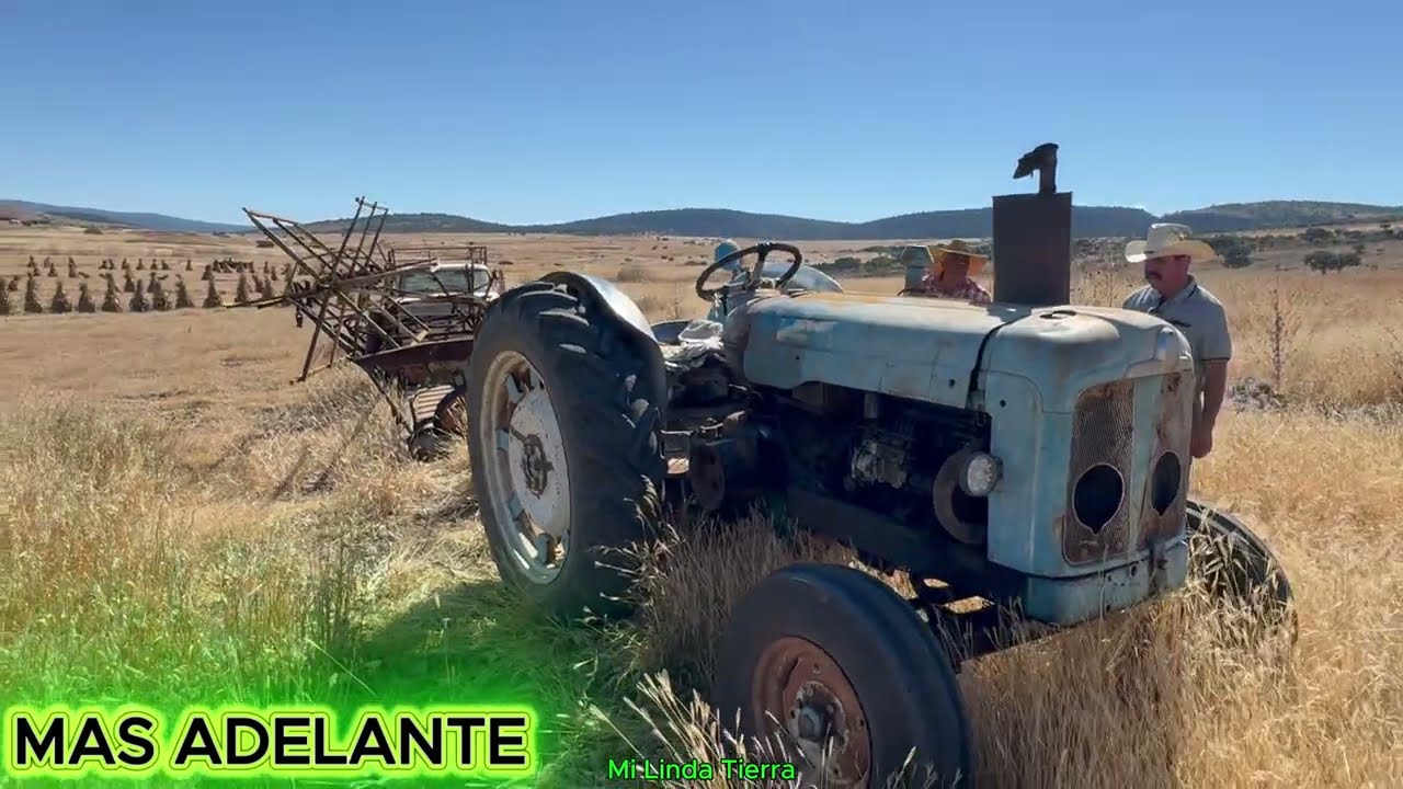 MI TRACTOR ES DEL AÑO 65 Y TODAVIA ME ASE EL TRBAJO  Y HOY ANDAMOS CORTANDO AVENA