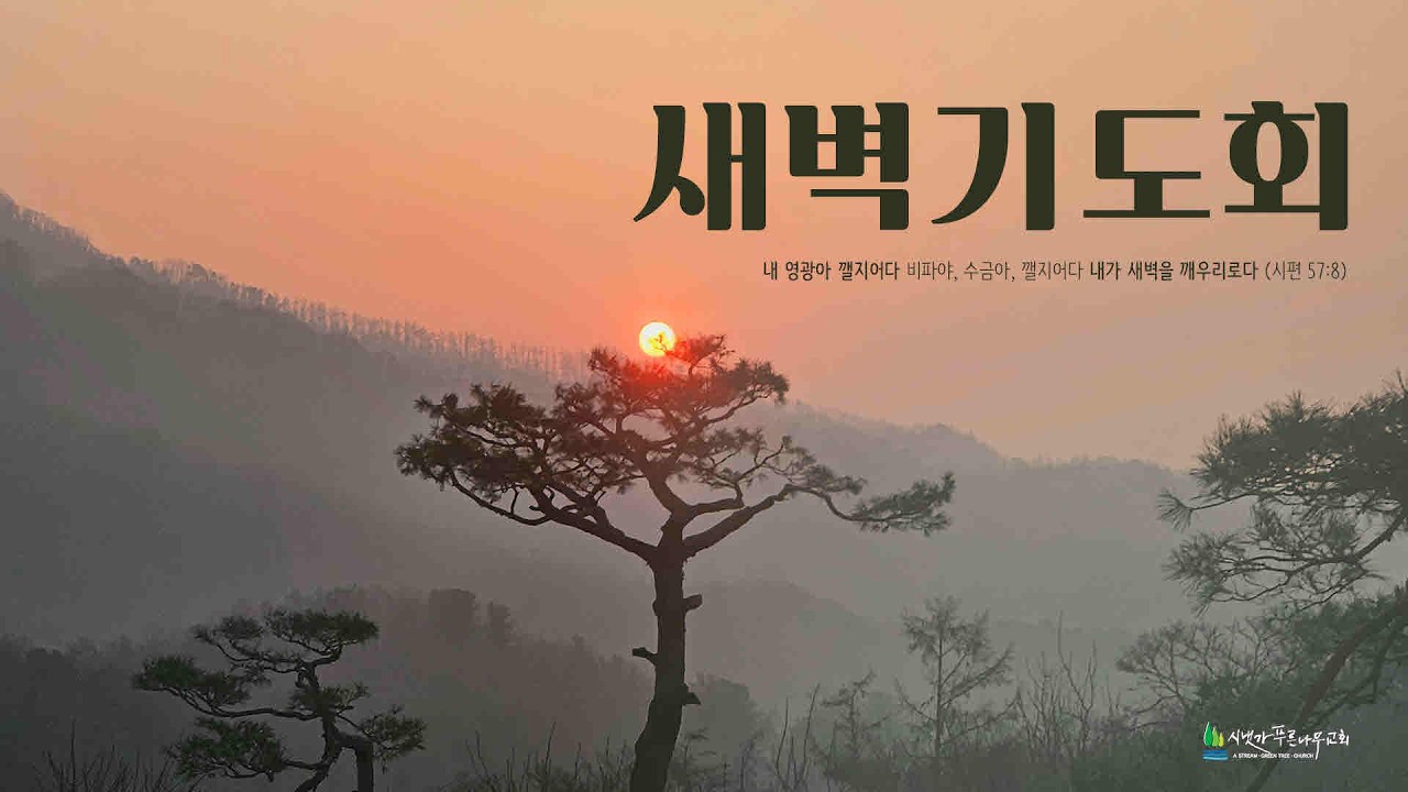2026년 3월 19일 목요새벽기도회ㅣ누가복음 강해 (눅 9:43-56) | 신용백 담임목사