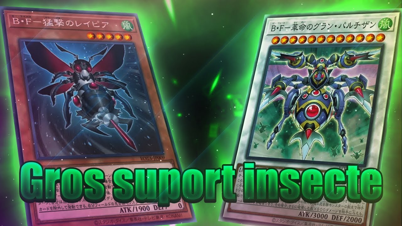 Guêpe de Bataille reçoit du support inattendu