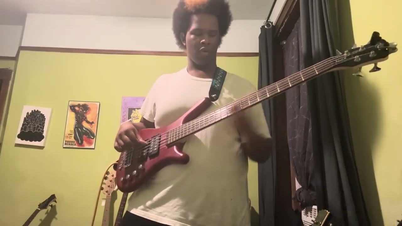 Red Hot Chili Peppers - Mellowship Slinky in B Major Bass Cover 