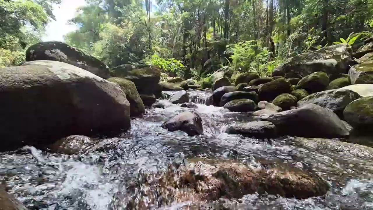 Som de Rio para Dormir Profundamente | Água Corrente Natural no Sítio do Vô | 2 Horas