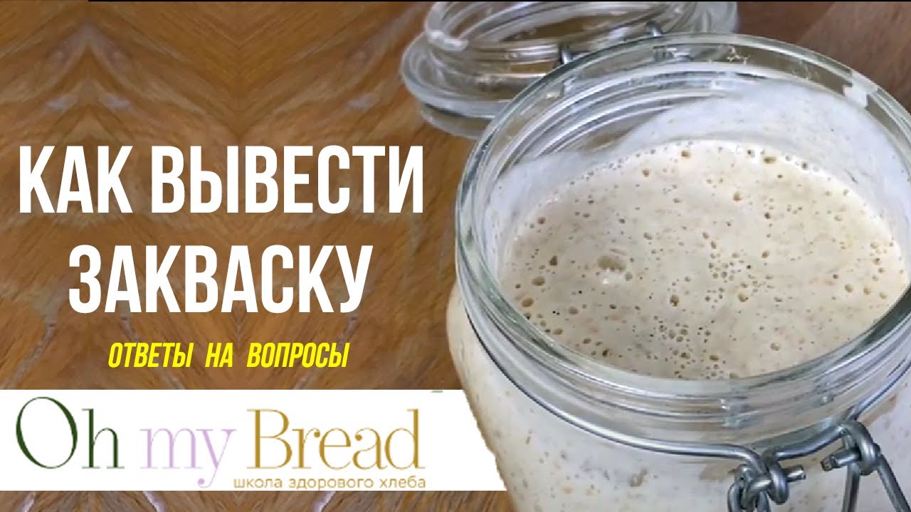 Эфир 20.09.22 «Как сделать закваску с нуля». Ответы на вопросы подписчиков