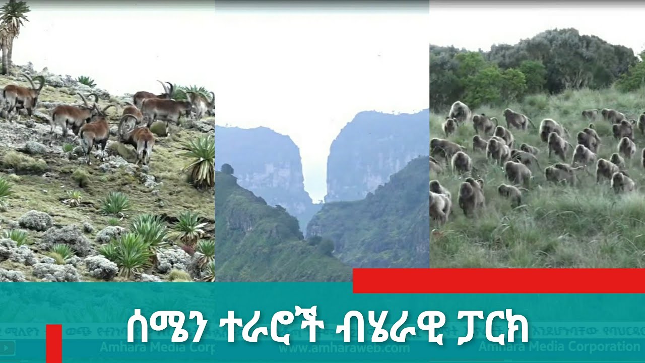 ሰሜን ተራሮች ብሄራዊ ፓርክ