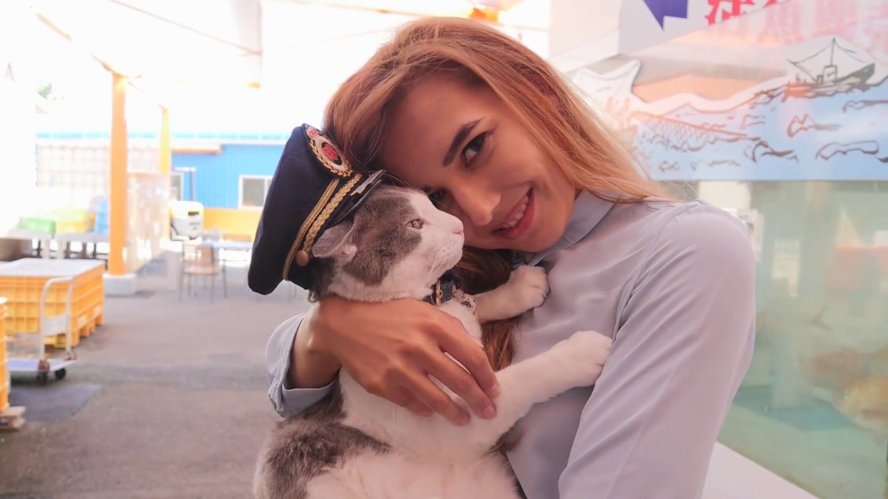 猫好きロシア女性！可愛くて癒やされる猫駅長「なるちゃん」を探して！Cute cat! Looking for a cat station manager in Japan！