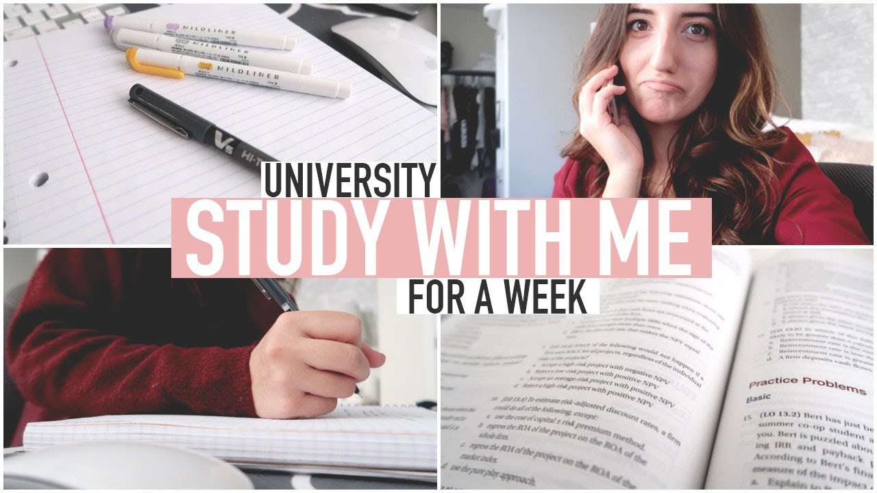 STUDY WITH ME FOR A WEEK | University Business Student