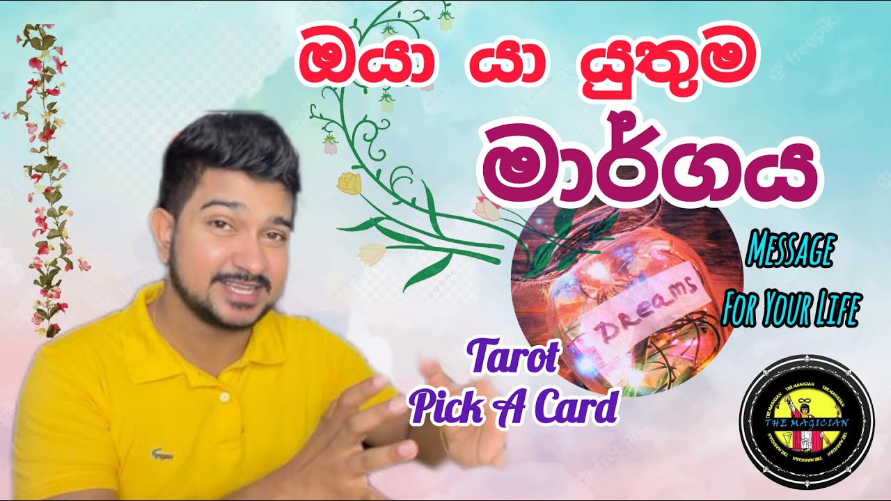 ඔයාගේ අනාගතයට හරිම පාර හොයාගමු.. #message #life #tarot #future