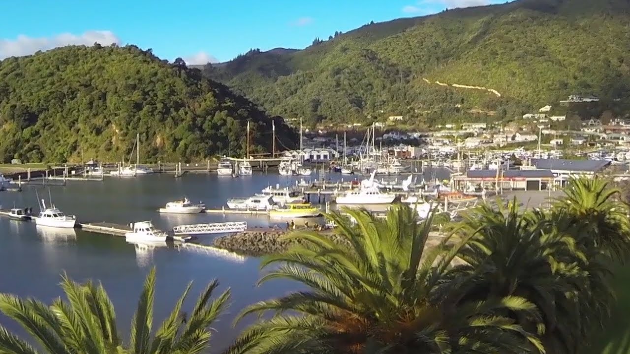 Things to do in Picton, places to stay