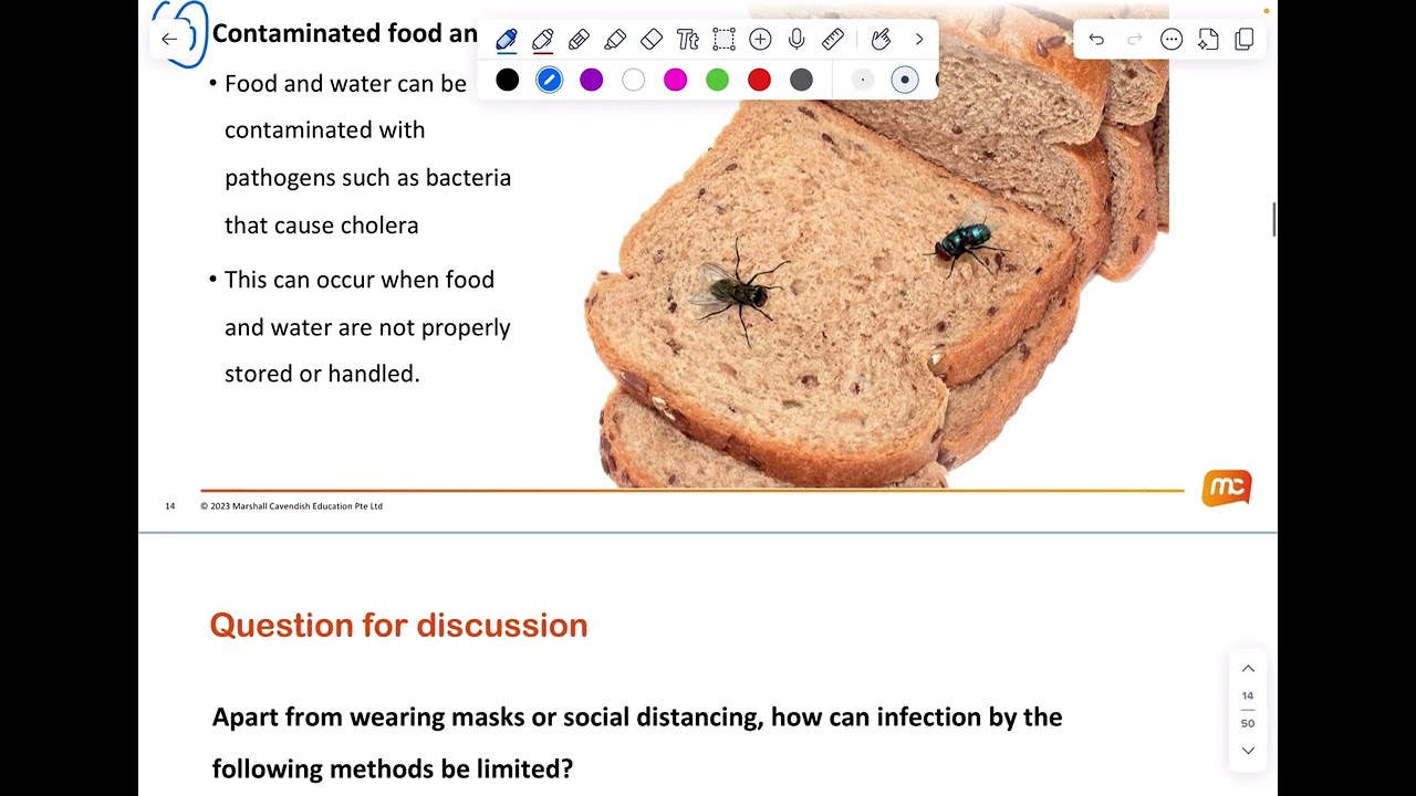 [Crash Course] O and N level Biology (11 Infectious Disease Part 1)