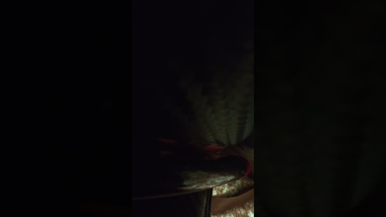 #corruption #cops #Michigan #clintoncounty St Johns Raw Uncut 2/17/26 part 2      Im cop car
