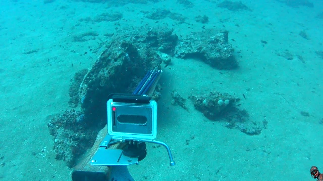 Pescasub: Lo scorfano da 2 KG  merita due tiri Spearfishing