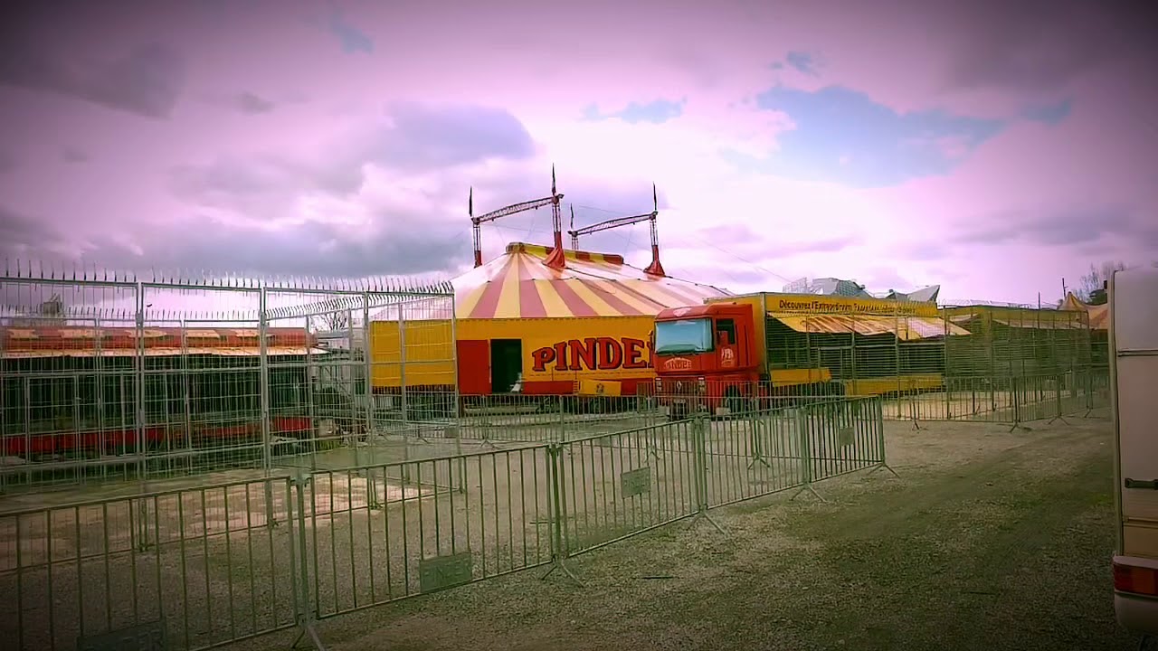 Cirque PINDER (LYON)