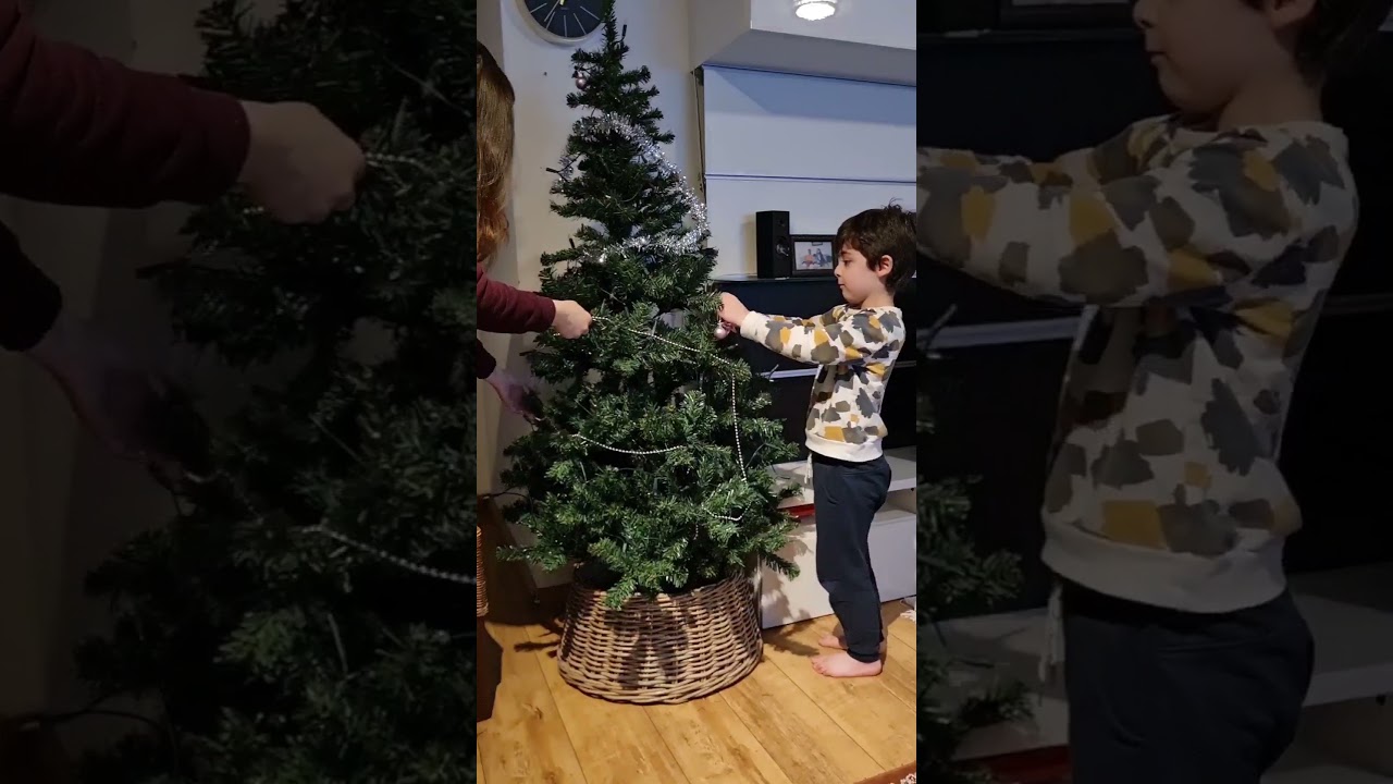 our christmas tree / onze kersboom.#shorts#christmas#kerstboom
