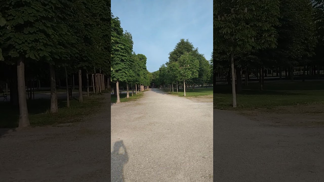Spring in Augarten park #vienna #austria #augarten #walking