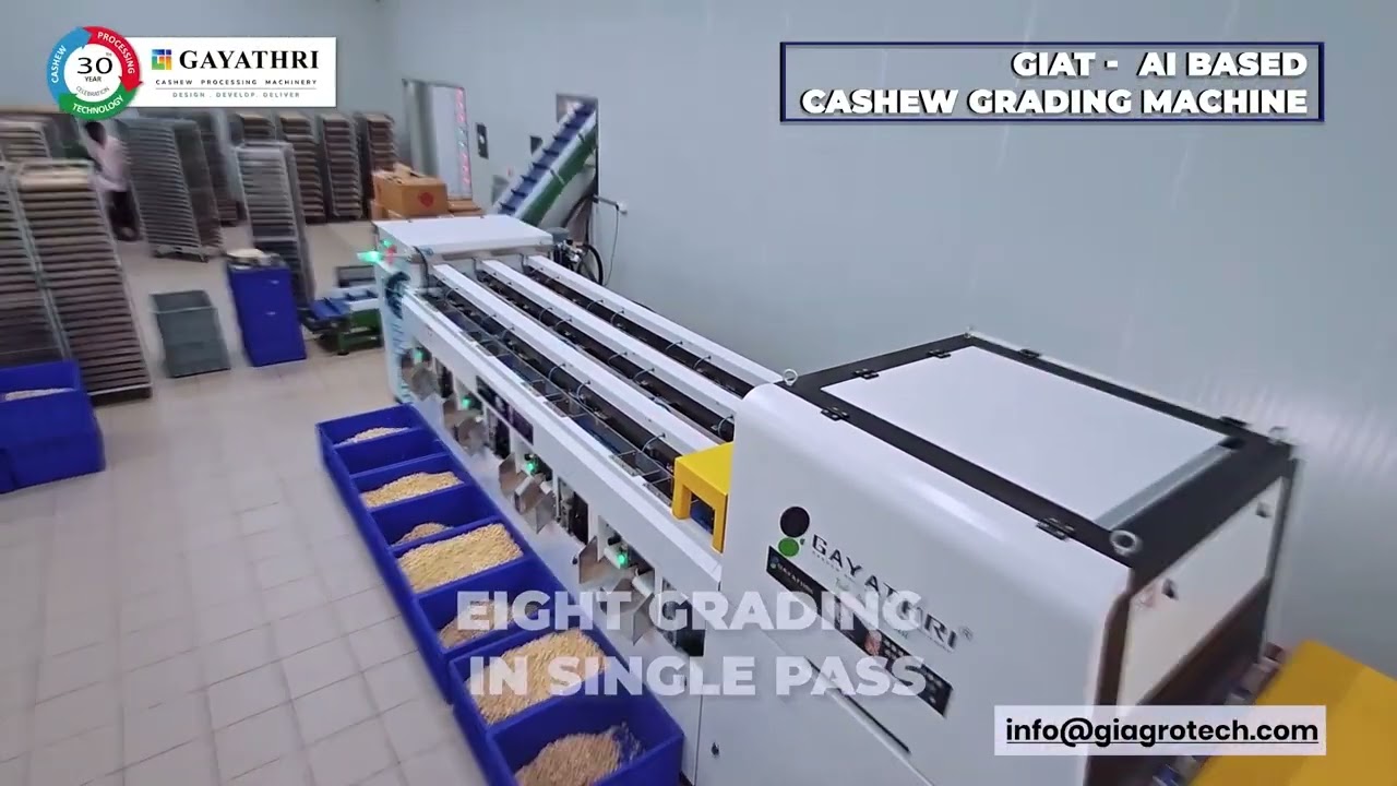 Revolutionary AI-Powered Cashew Kernel Grading Machine | 99.9% Accuracy & 8 Grades in One Pass