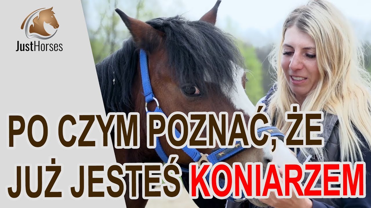 Po czym poznać, że jesteś koniarzem
