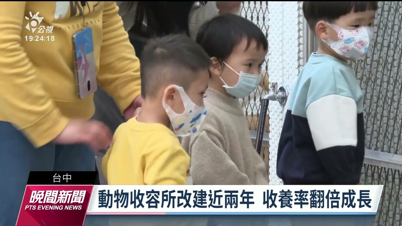 狗舍兩房一廳環境整潔 后里動物收容所收養率翻倍｜20230127公視晚間新聞