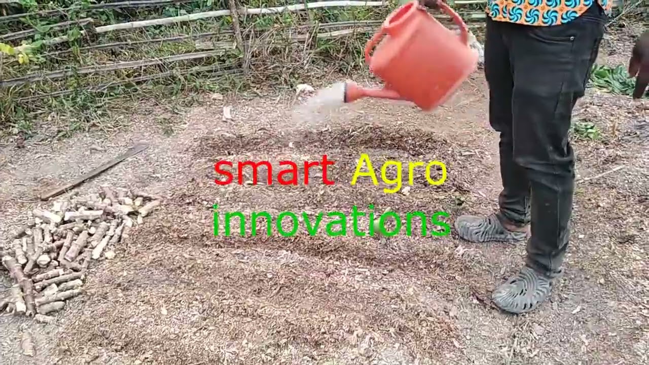 EP.1. Cassava Multiplication Using Tissue Culture Technique