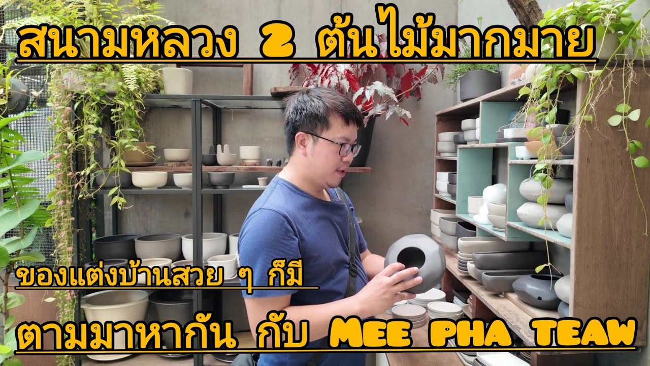 ตลาดต้นไม้ สนามหลวง 2. มีมากกว่าต้นไม้ มีครบ จบที่เดียว #สนามหลวง2# Mee pha teaw