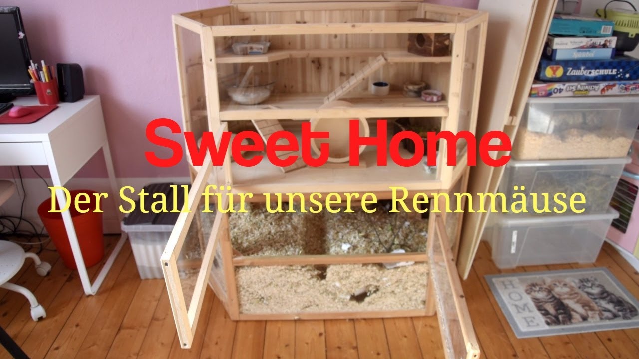 Sweet Home - Der Käfig für unsere Rennmäuse