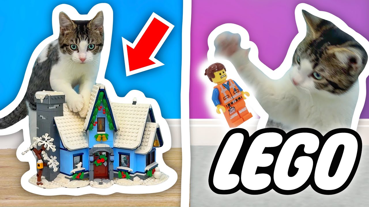Kitten Destroys LEGO Village!