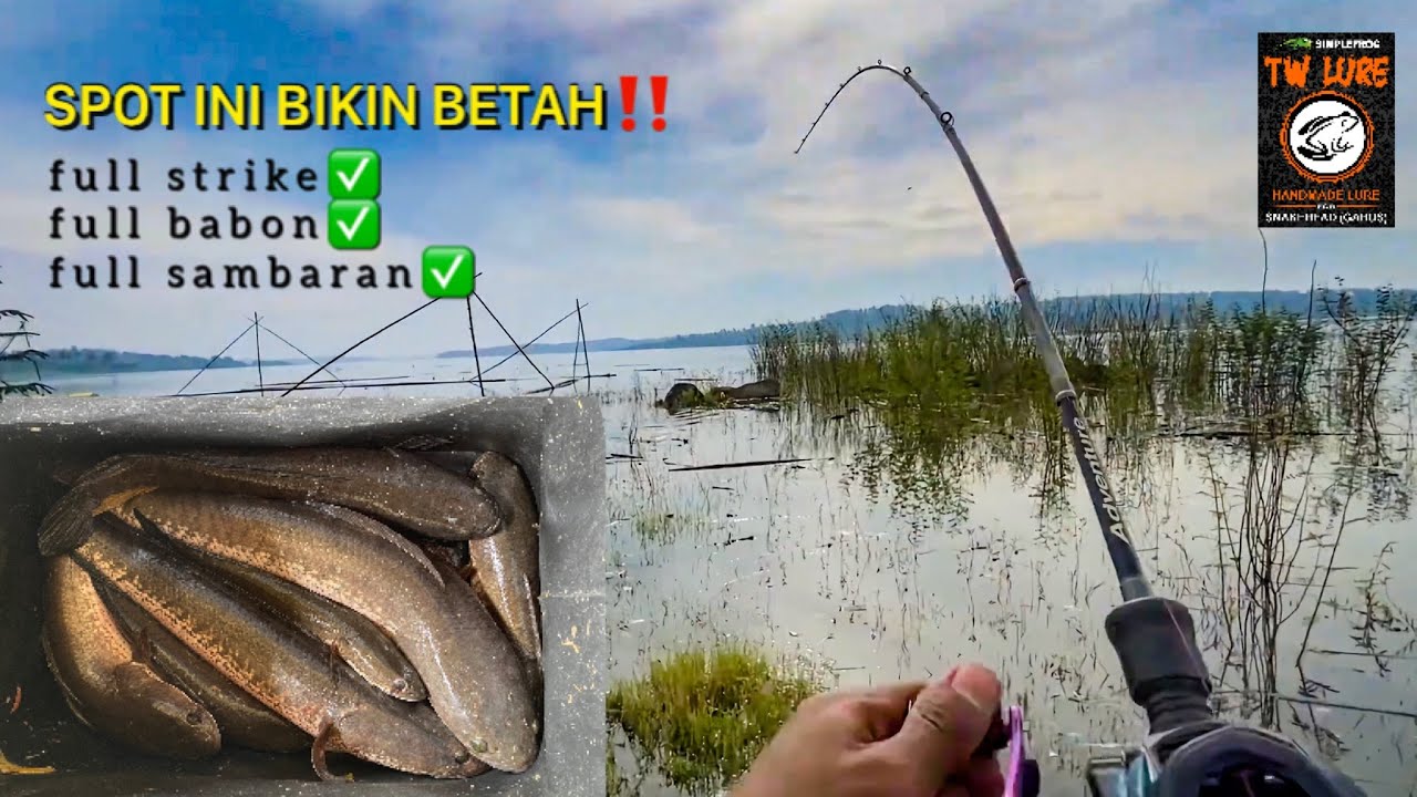 PANEN!! KETIKA AIR MELUAP PINGGIRAN DI PENUHI SAMPAH DISITULAH SARANG IKAN!! 30 menit full strike