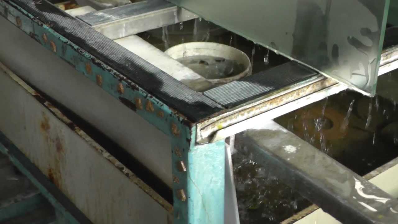 glass hand grinder.m2ts