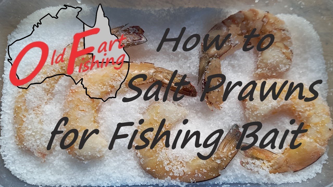 How to Salt Bait for Fishing - Prawns / Shrimps