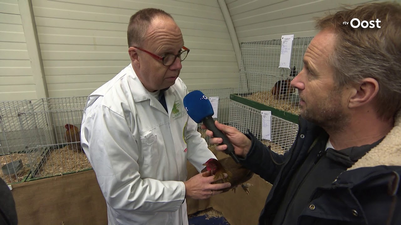 Expeditie Oost: De grootste konijnen komen uit Den Ham