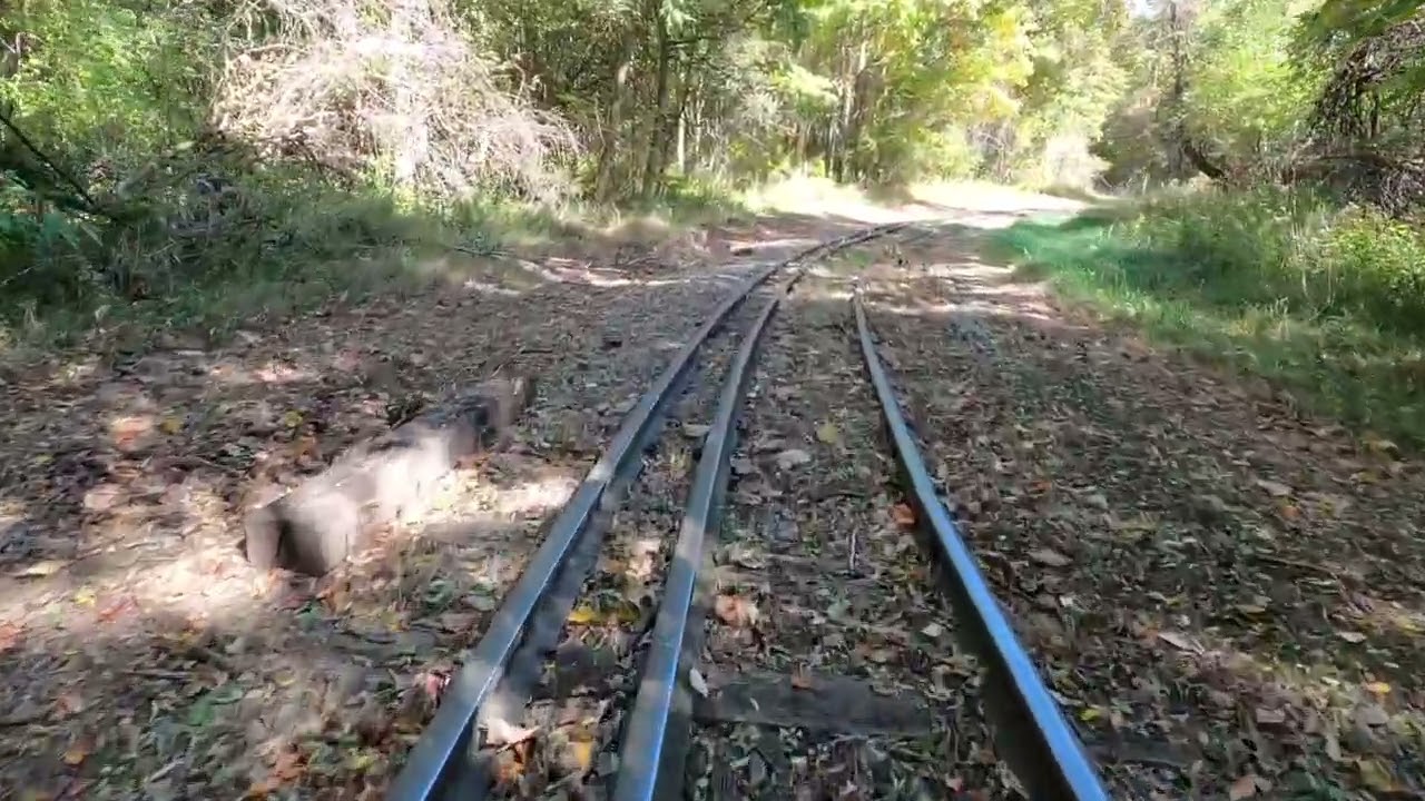Hesston 3 ft gauge Engine POV