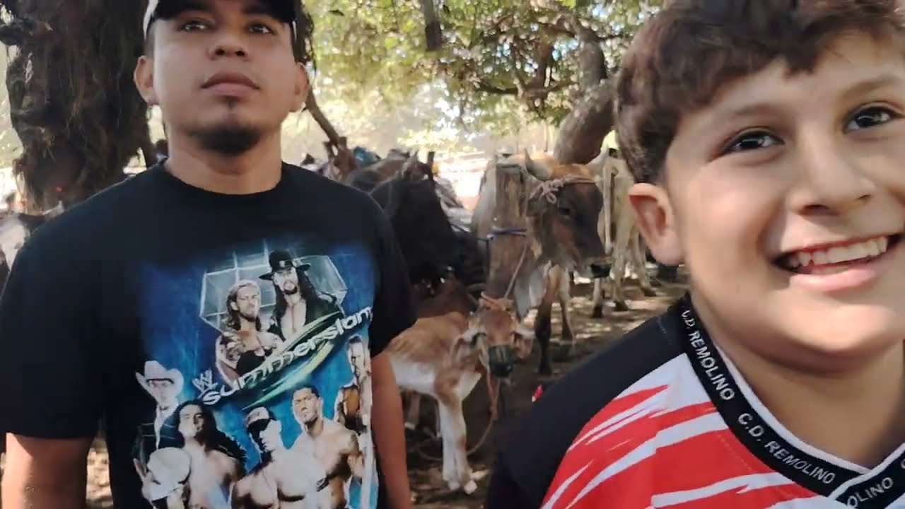 Vacas Paridas de $ 1500 en El Salvador. 