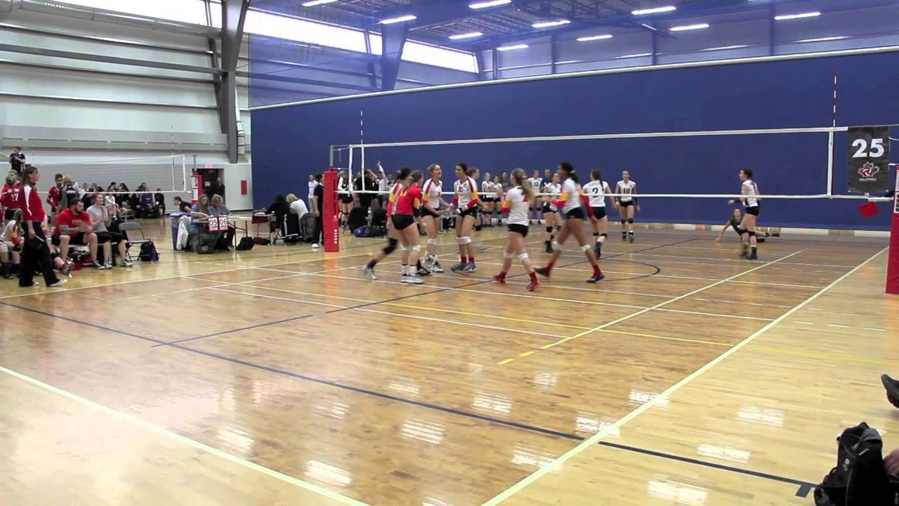 U18 Jr Dinos Nationals 2014 - Bronze Medal Winners Div.1 Tier 1