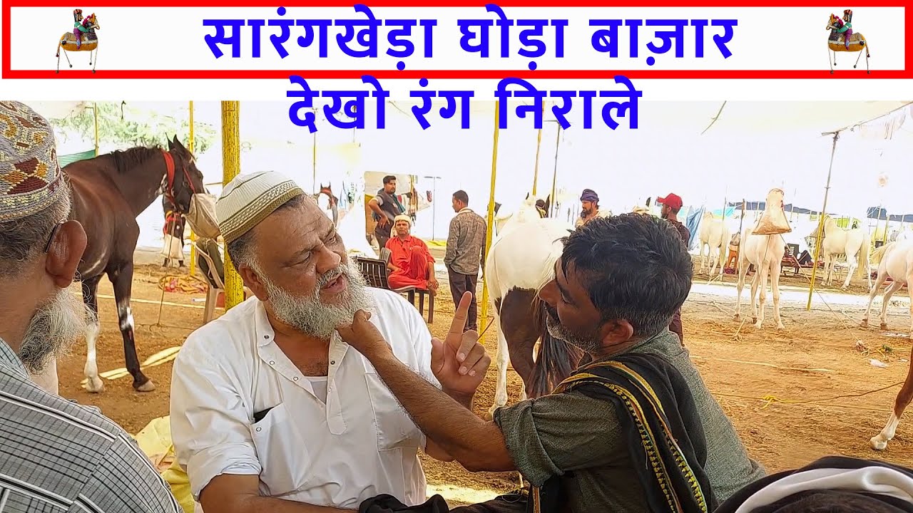 सारंगखेड़ा घोड़ा बाज़ार के ताने-बाने  - अनसुने किस्सों का आनंद लें Sarangkheda Horse Fair 2023 Video