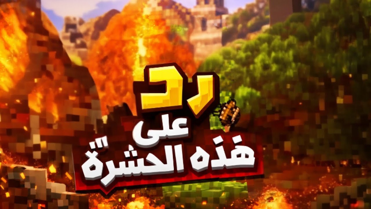 نرد على حشره من حشرات اليوتيوب