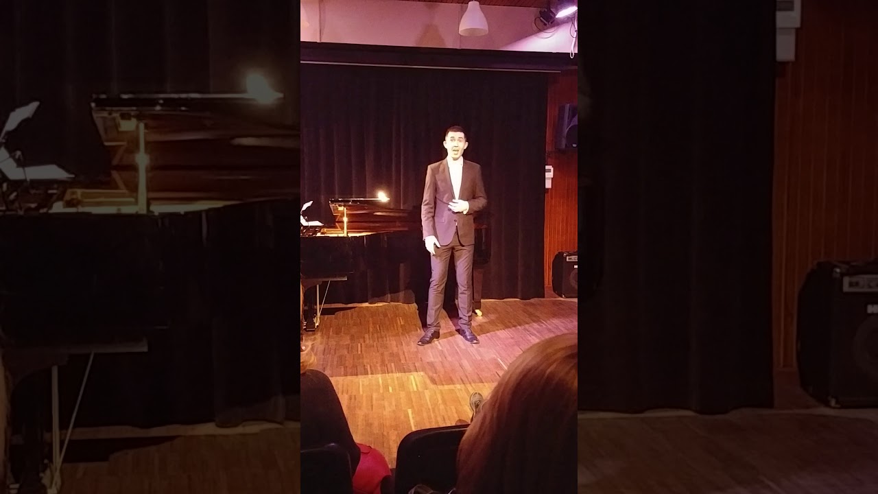 Michał Biela- W.A.Mozart Aria Figara z opery Wesele Figara Non piu Andarai