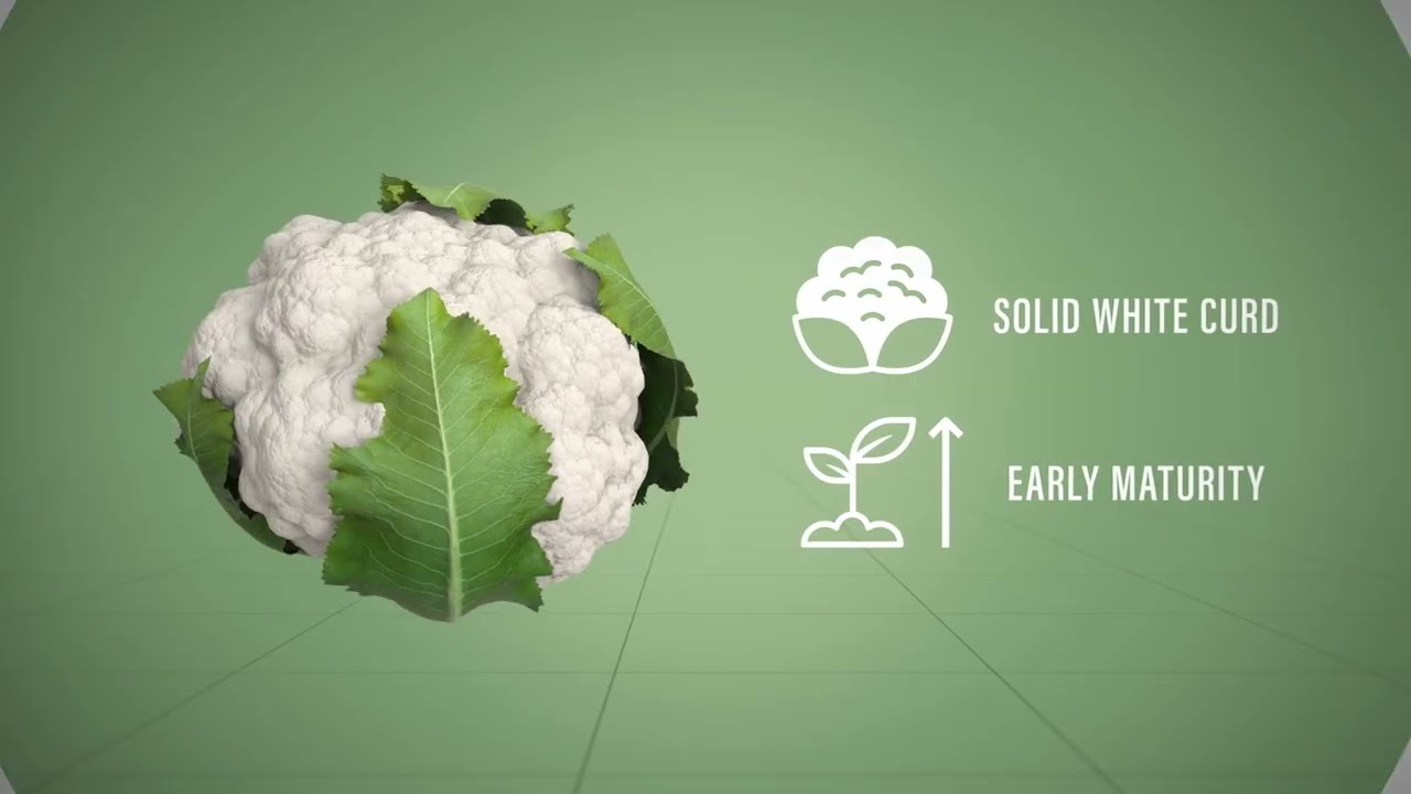 Tomorrow Seeds Today -  Houdbaarheid Verbeteren