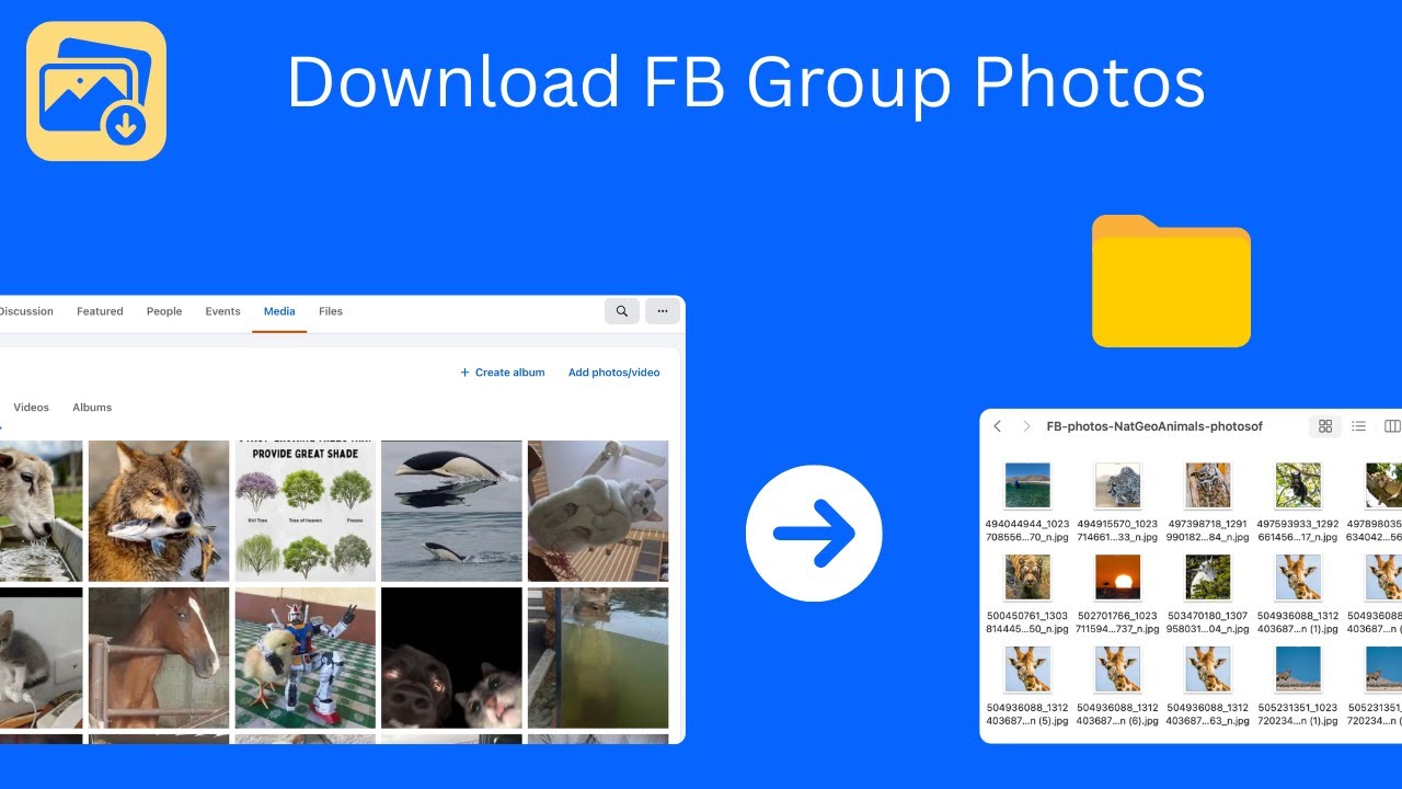 How to download Facebook group's photos?