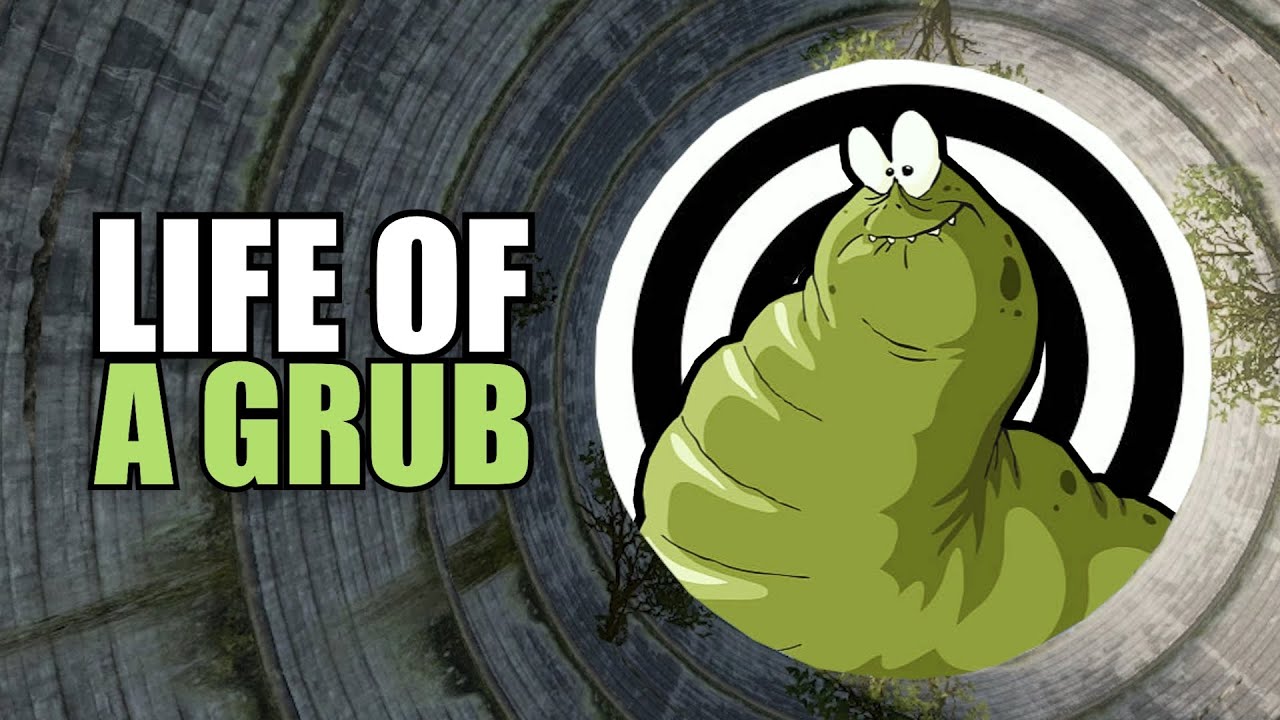 THE LIFE of a GRUB | Rust Solo Survival (1 of 4)
