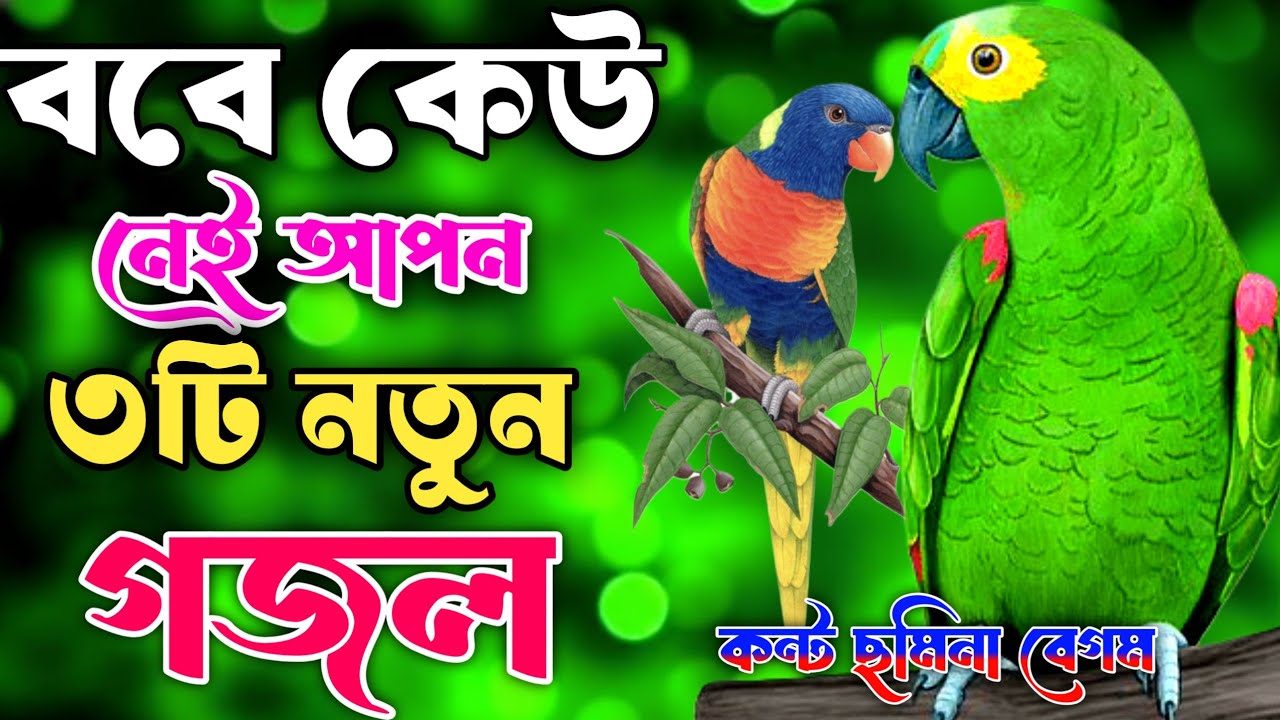 ববে কেউ নেই আপন খুবই দুঃখের বুক ফেটে কান্না আসার মতো গজল // Somina Begum // New Hart Gojol 2026