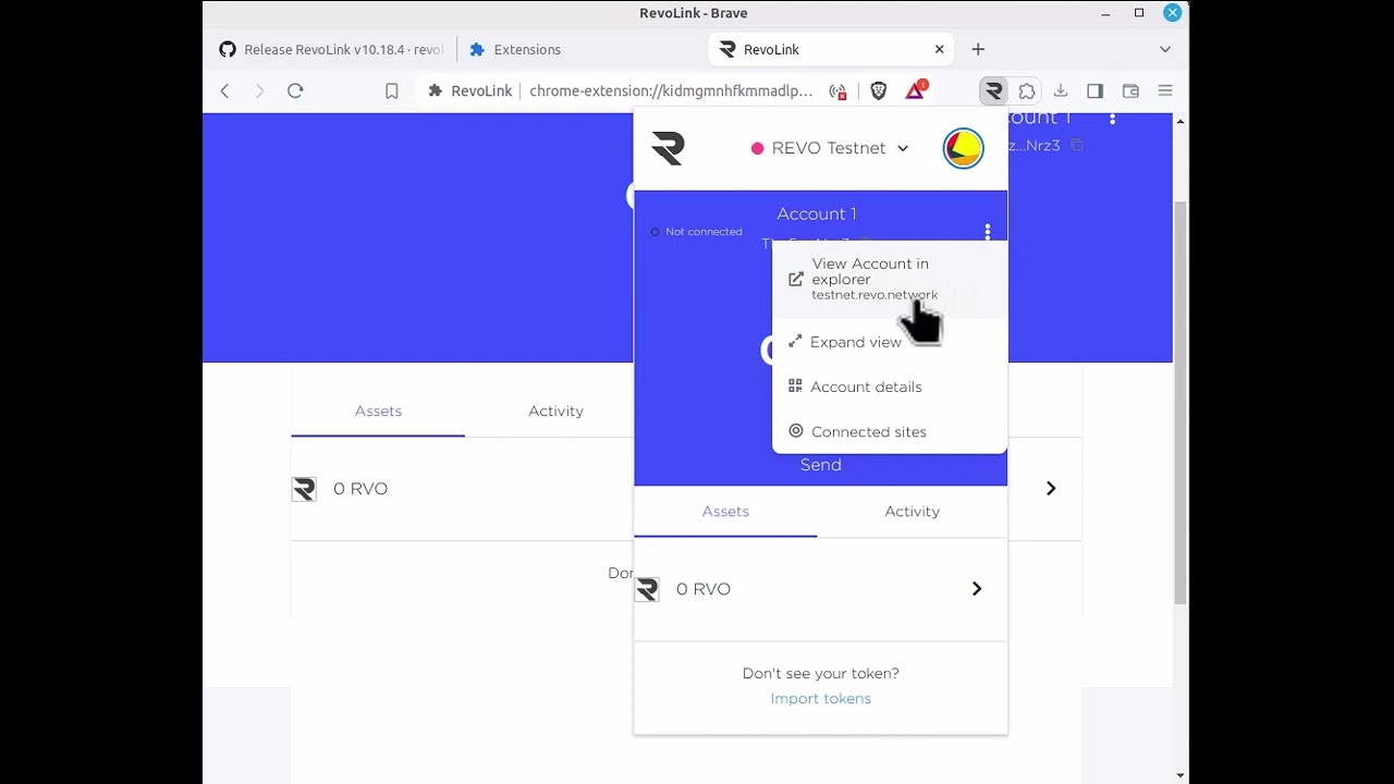 Unlocking the Future: Introducing RevoLink Browser Extension!